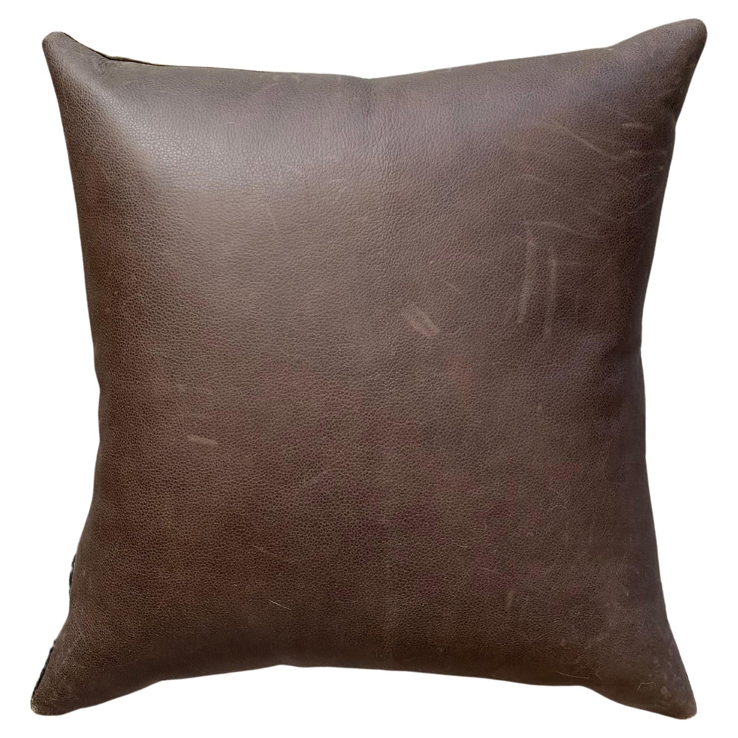 Velvet Fall Sky Pillow with Brown Leather Back