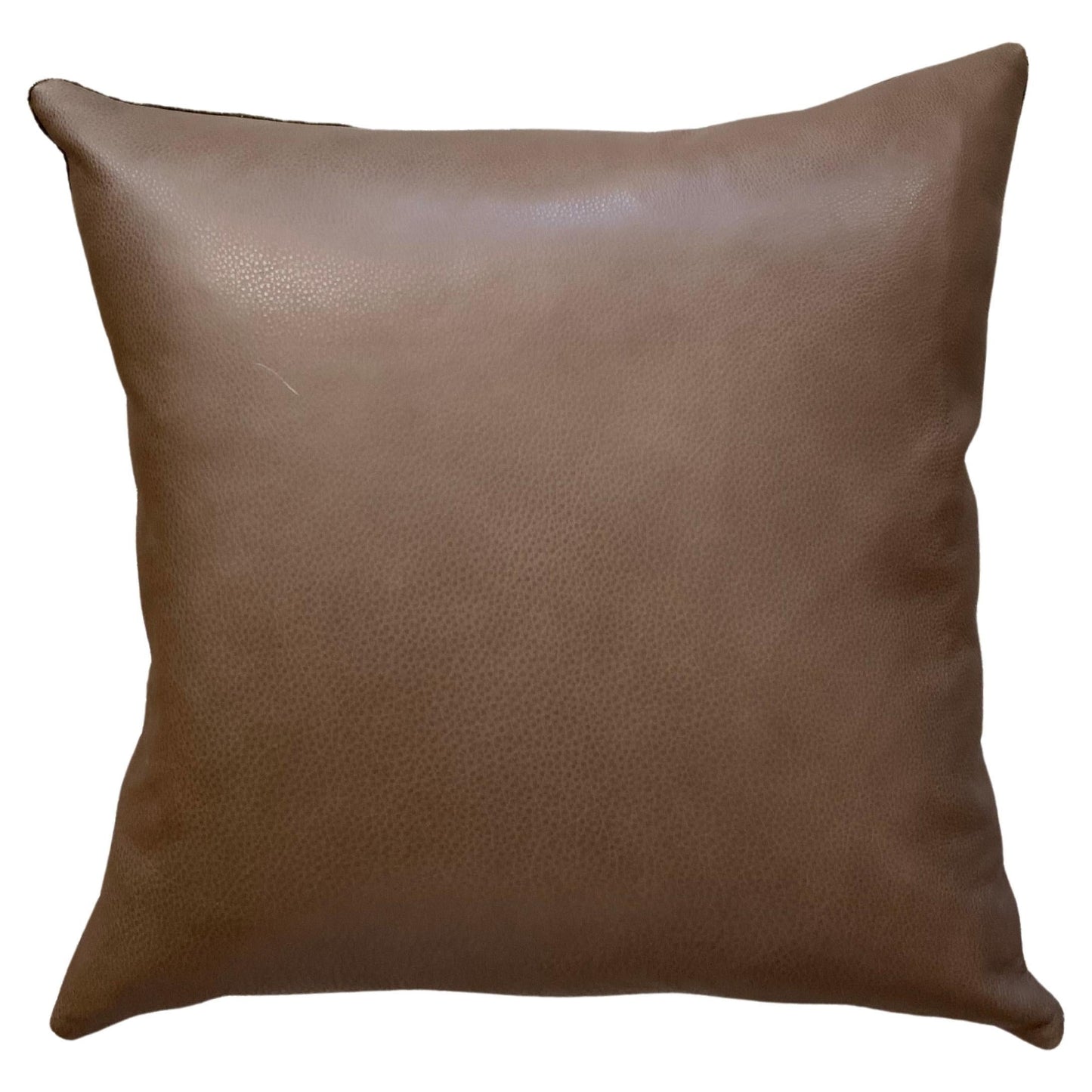 Velvet Fall Sky Pillow # 2 Leather Back